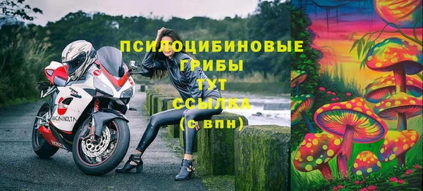 индика Алзамай