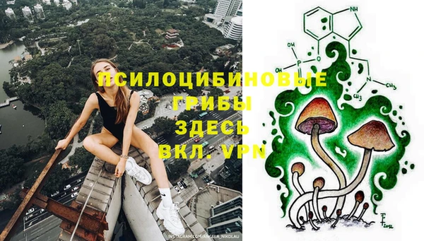 шишки Армянск