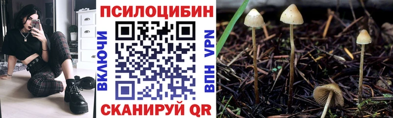 Галлюциногенные грибы Psilocybe  МЕГА зеркало  Валдай  как найти  